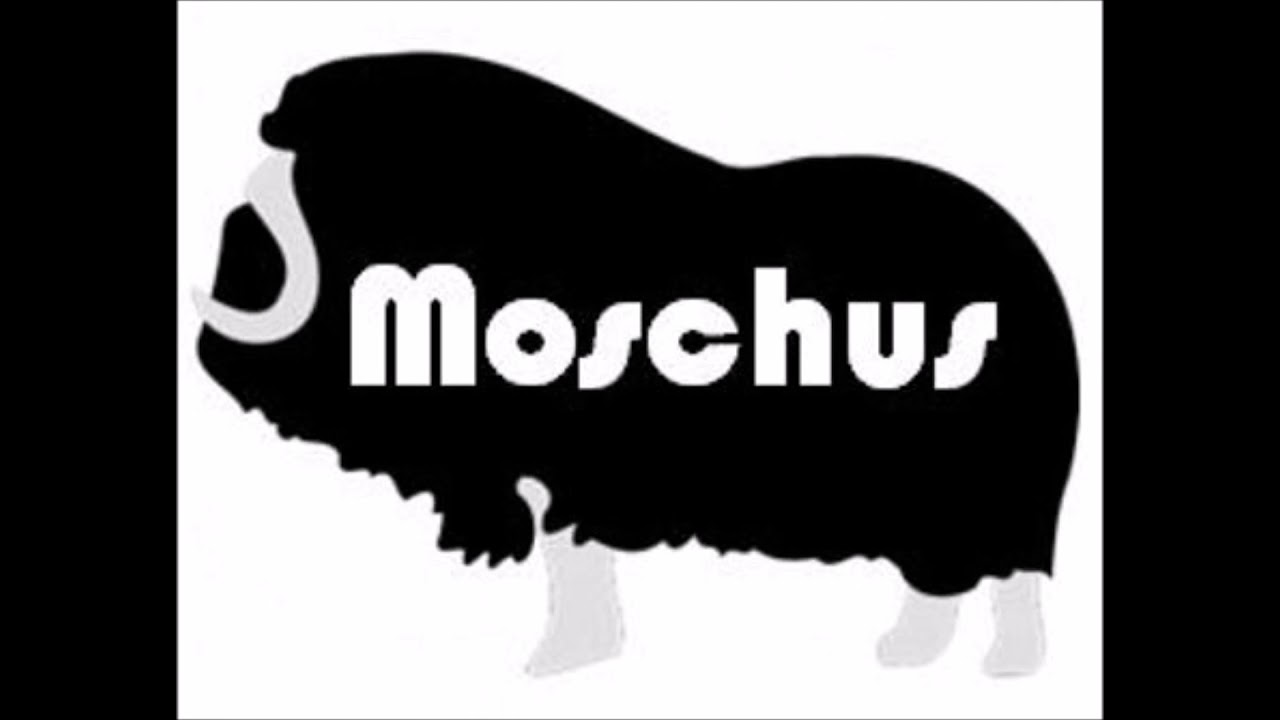 MOSCHUS - Fools on parade - OX