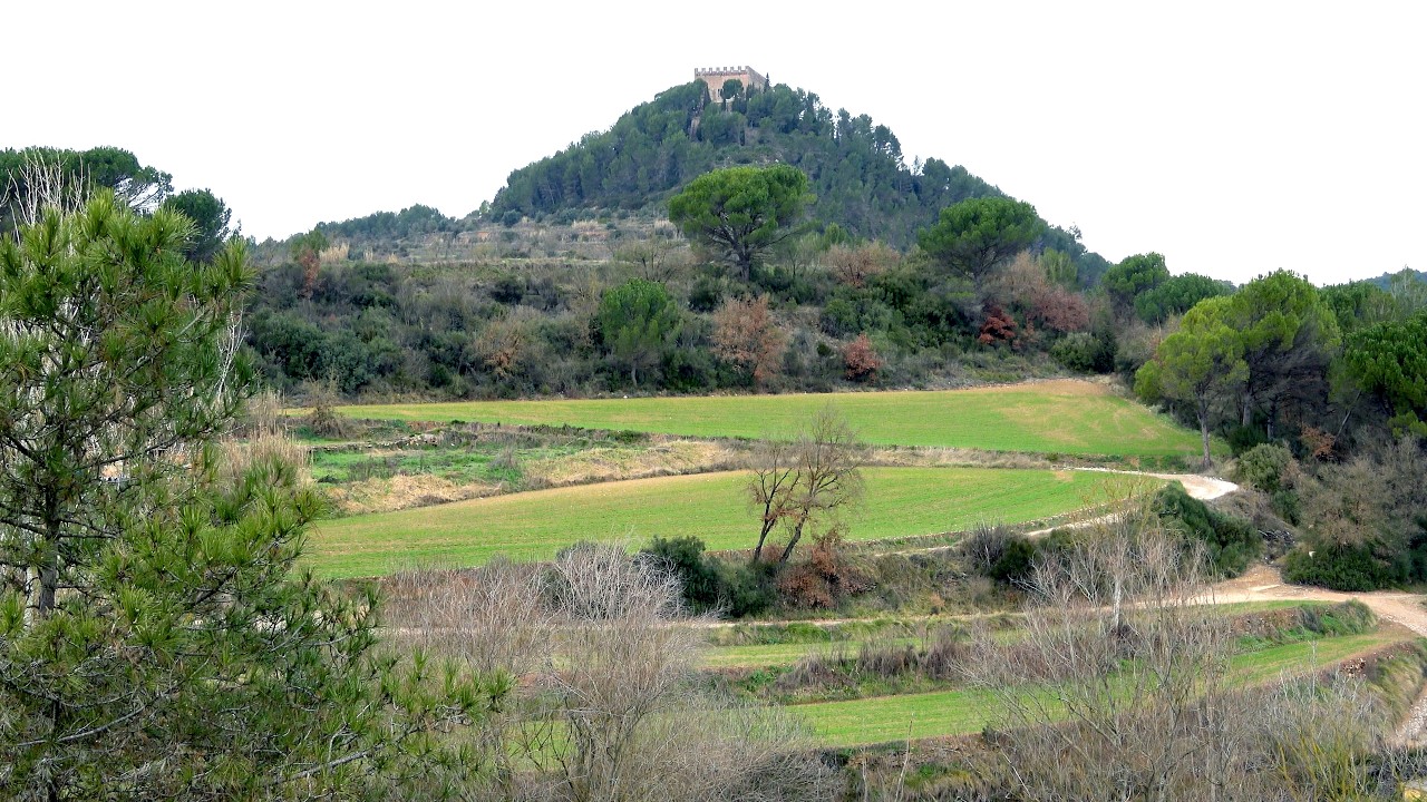 Balsareny passejada
