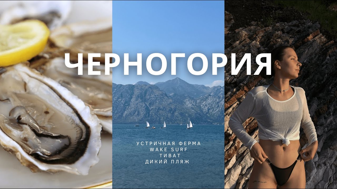 30. ВЛОГ из Черногории | устричная ферма | серфинг | Тиват | дикий пляж#montenegro#море#черногория