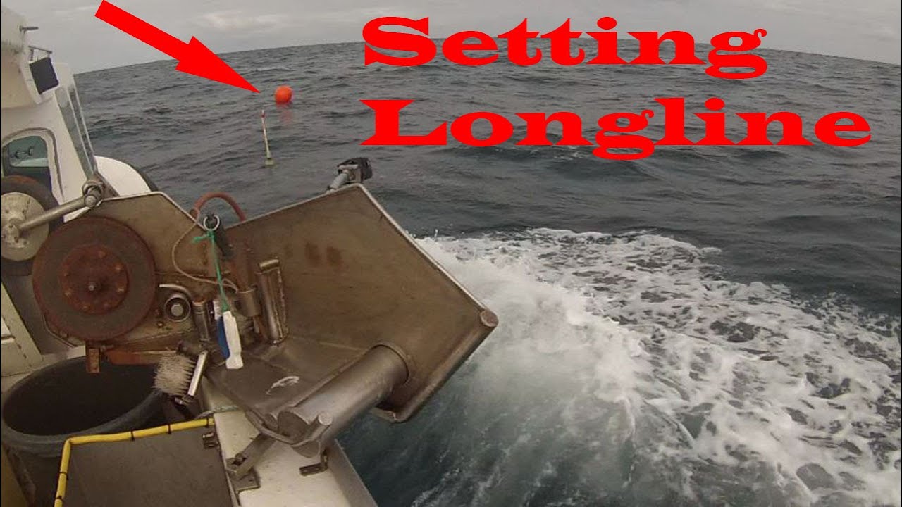 Setting longline in the Faroes