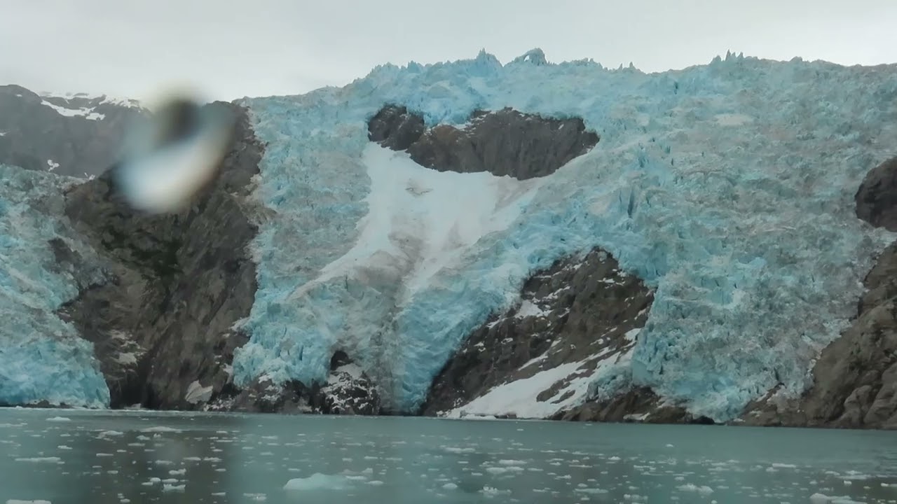 Major Marine 8 5 Hour Wildlife & Glacier Tour, Seward, Alaska, July 22, 2024