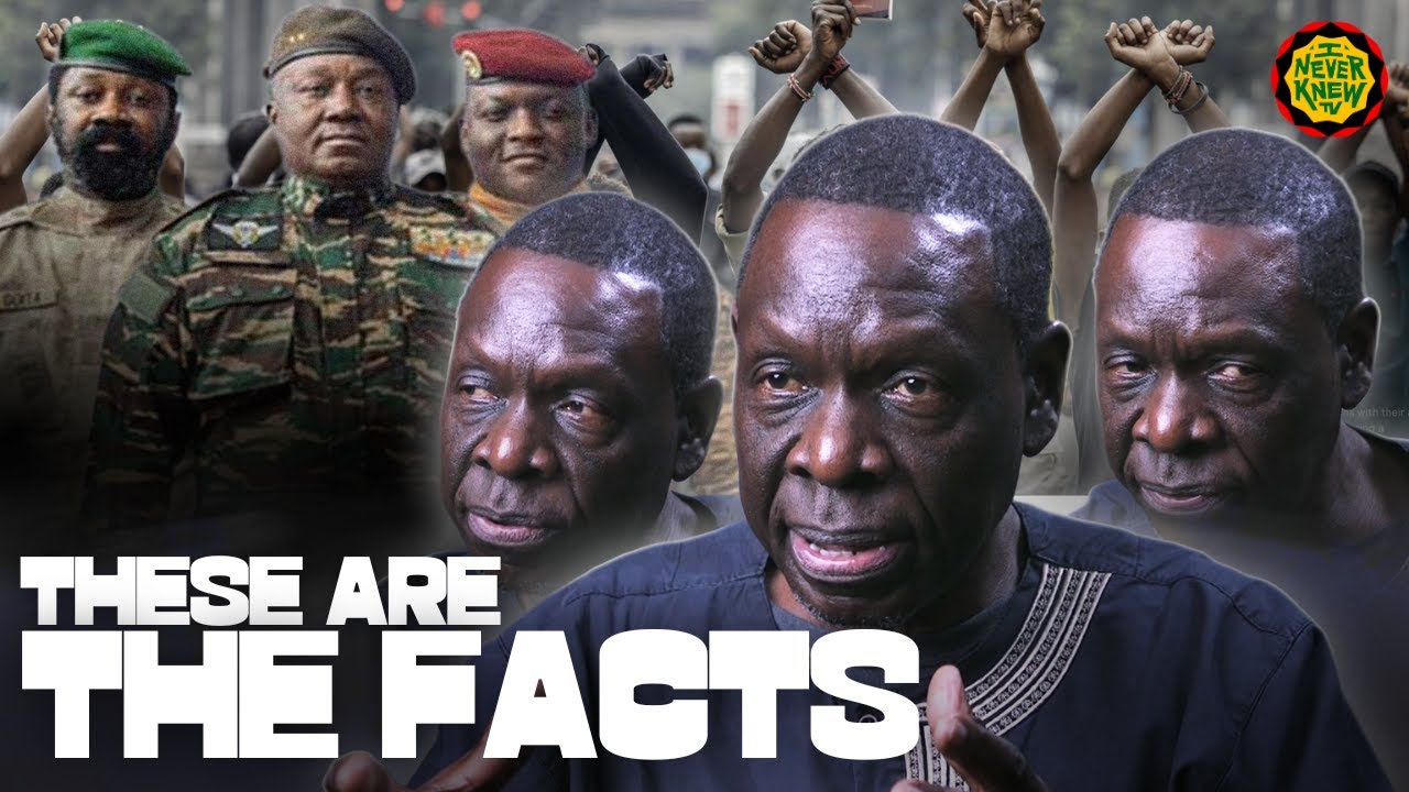 Main Stream Media Is Still Giving Out This False Narrative About Africa - Milton Allimadi