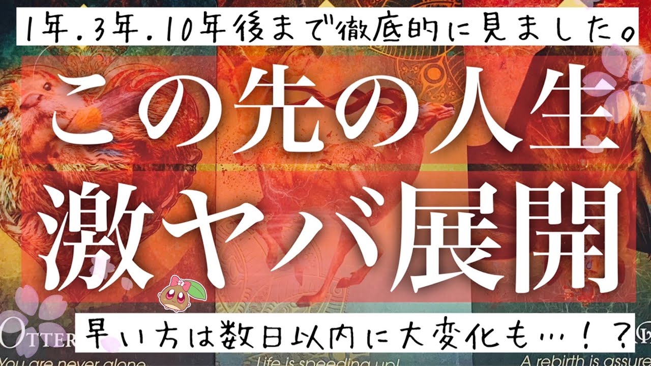 この先の人生がヤバすぎた。本気で占ってみたら神展開しか出ませんでした。ルノルマンタロットオラクル #あんまろ掘り 徹底追求リーディング🌸🌰