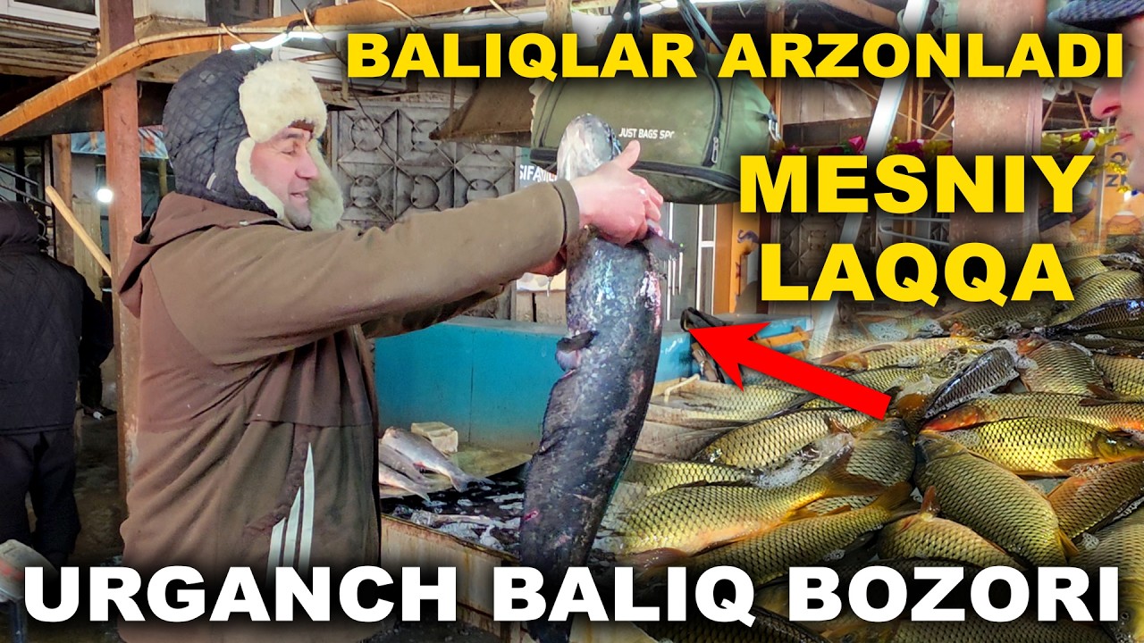 URGANCH BALIQ BOZORI NARXLARI 2026