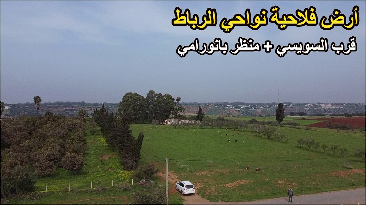 ✨ أرض فلاحية 2 هكتارات و 2000 متر بمكان رائع واطلالة جميلة على القصور الكبيرة ✨ الرباط - المنزه
