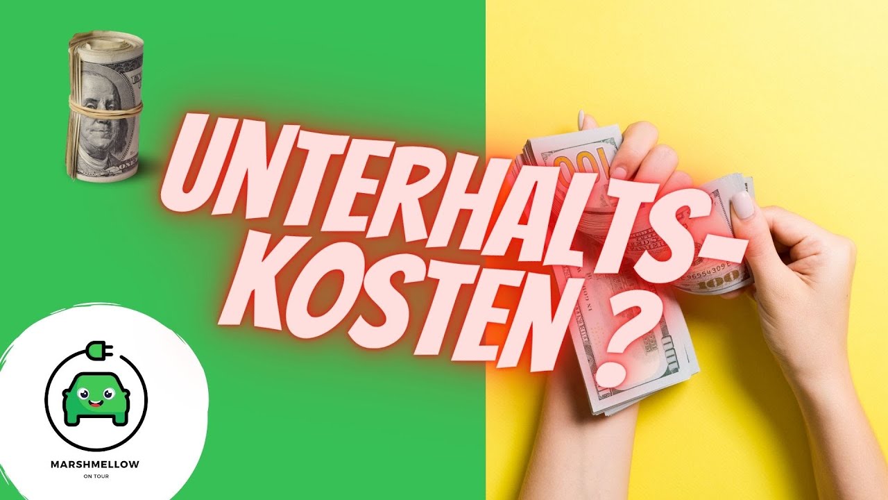 E-Auto zu TEUER ? Kannst du dir ein E-Fahrzeug leisten?