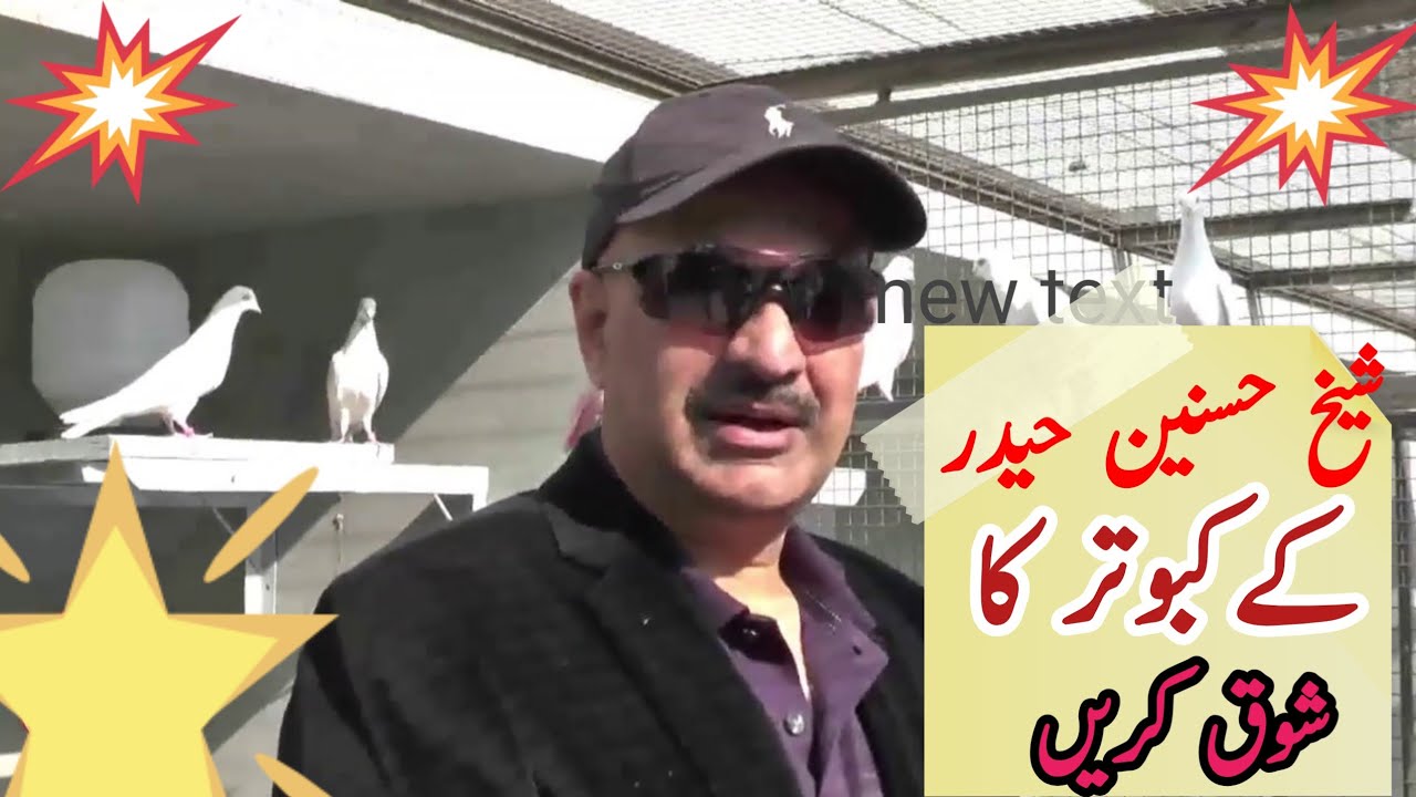 Sheikh Hasnain Haider's Low Flyer Pigeon Challenge
