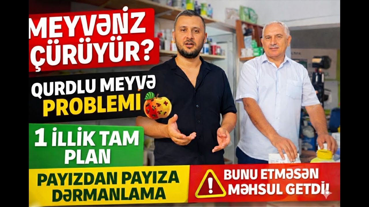 MEYVƏ AĞACLARINDA ÇÜRÜMƏ VƏ QURD PROBLEMLƏRİNİN HƏLLİ. FƏSİLLƏRƏ GÖRƏ DƏRMANLAMA. 