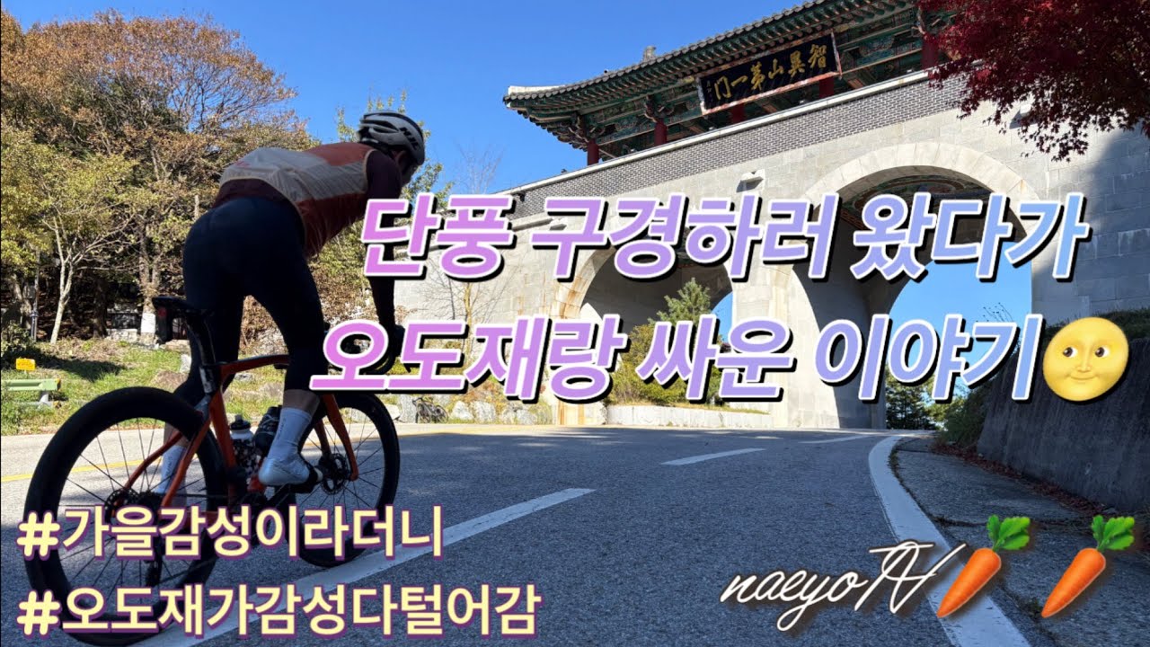 지리산 단풍 구경 갔다가 오도재랑 싸우고 온 사람 가을 감성 라이딩로그