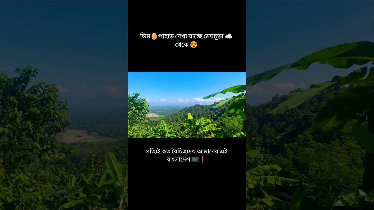 ডিম পাহাড়ে নাকি ডিম থাকে 😆|| 