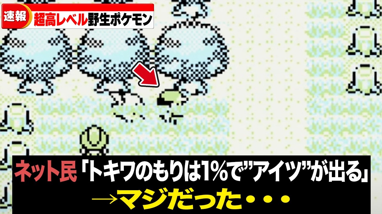 【初代金銀ルビサファ】初見時はビビる高レベル野生ポケモン18選