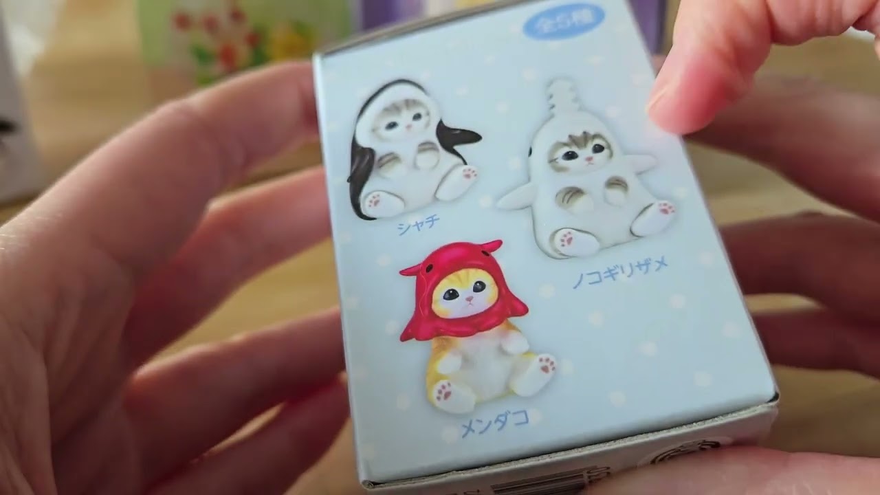 Tons of Blind Box Openings!
