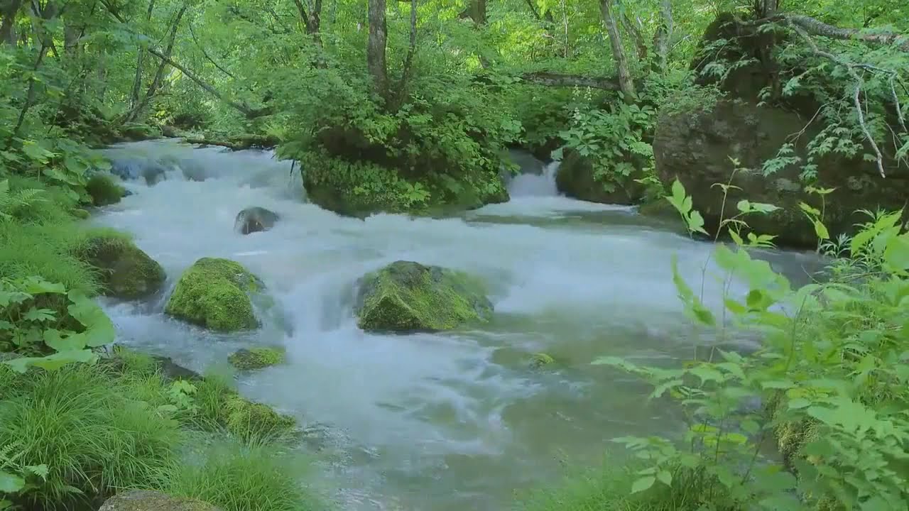 Meditation Relaxing Calm  Music - Algorithmic Boost Request - 2000000 #YTBoostRequest