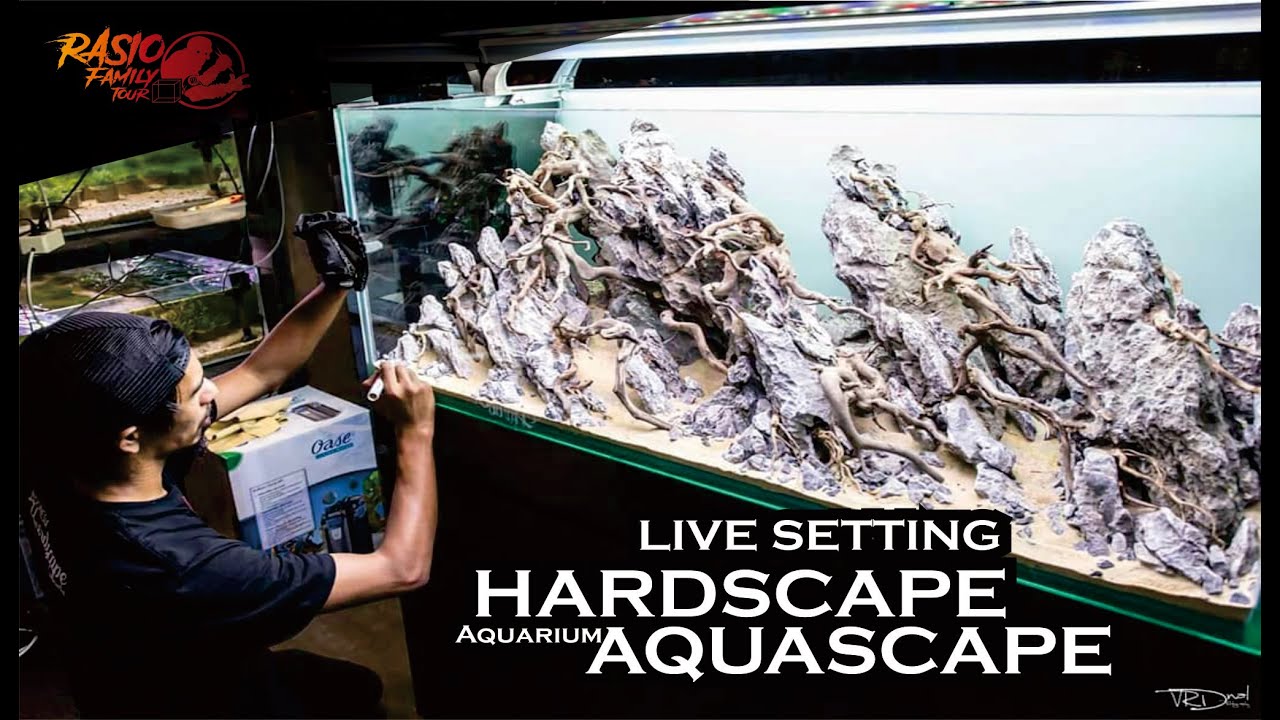 How to Hardscape a 120cm aquarium Aquascape