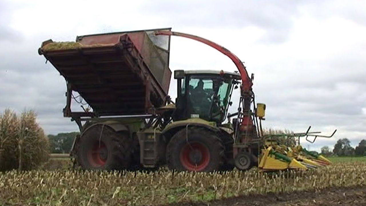 Maïs 2010 | Claas Xerion 3300 met Heston bunker en Kemperbek(6rijer) | Fendt 612 en 800 serie