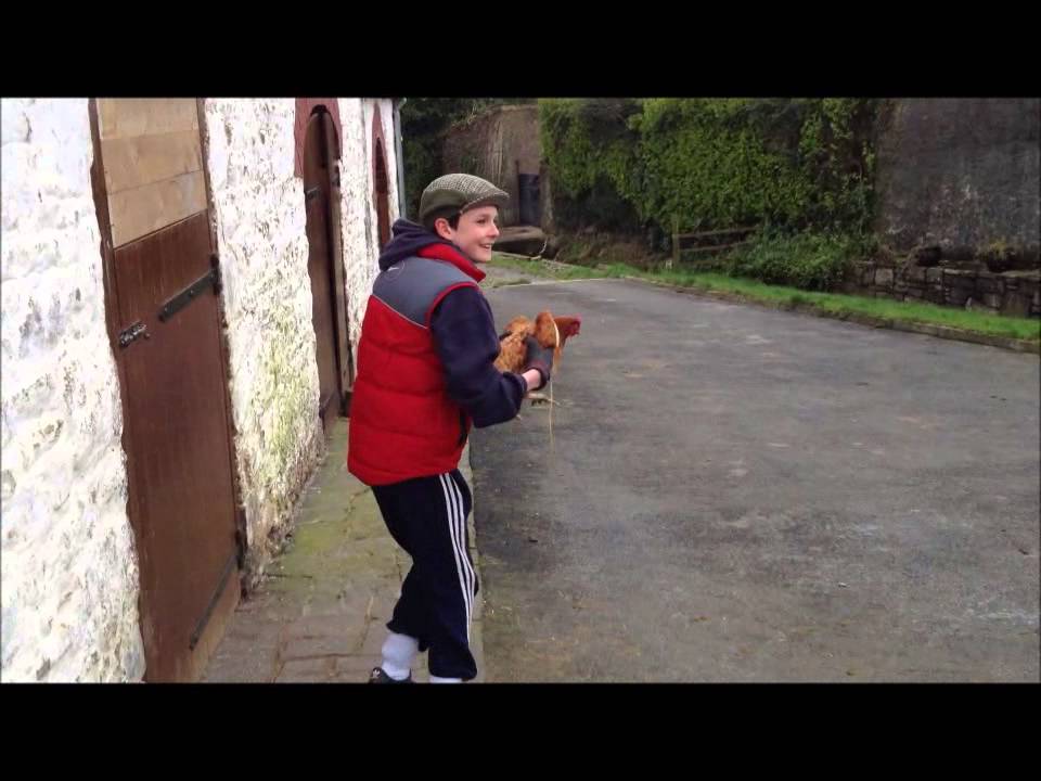 Irish Short Film - Abbey Community College (An Sicín A Glacadh)