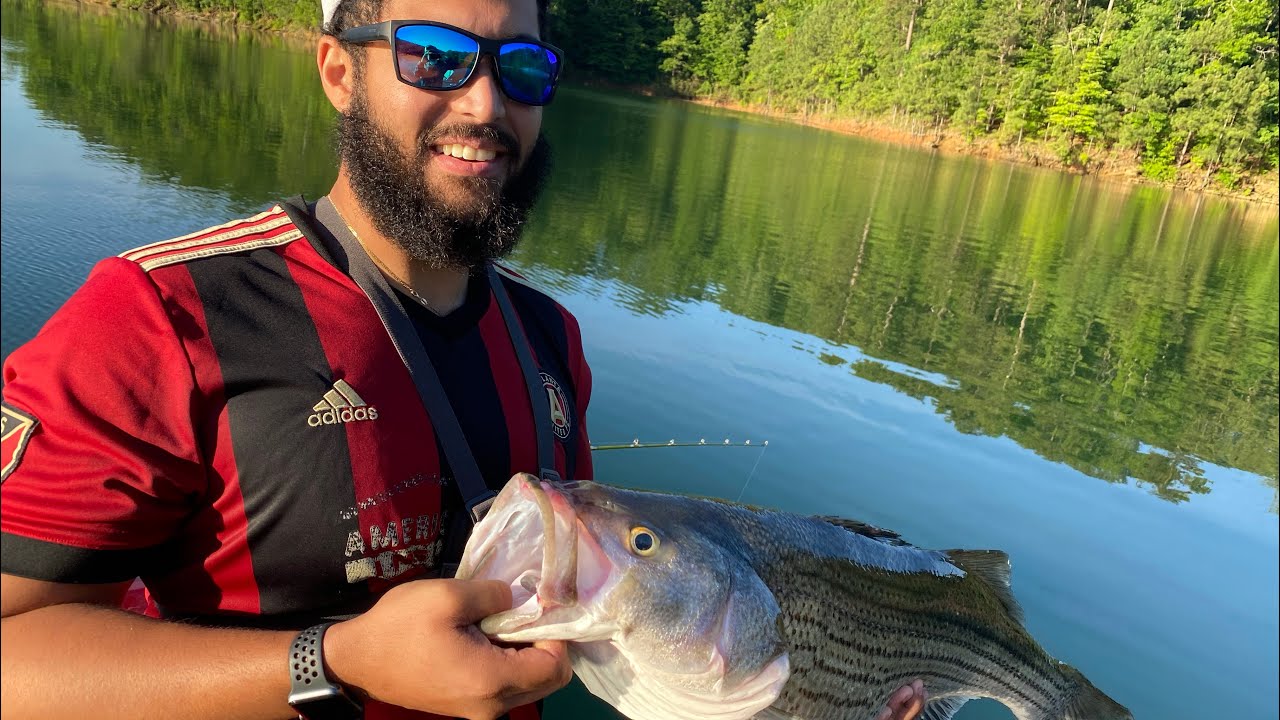 Huge Striped Bass on Carter’s Lake