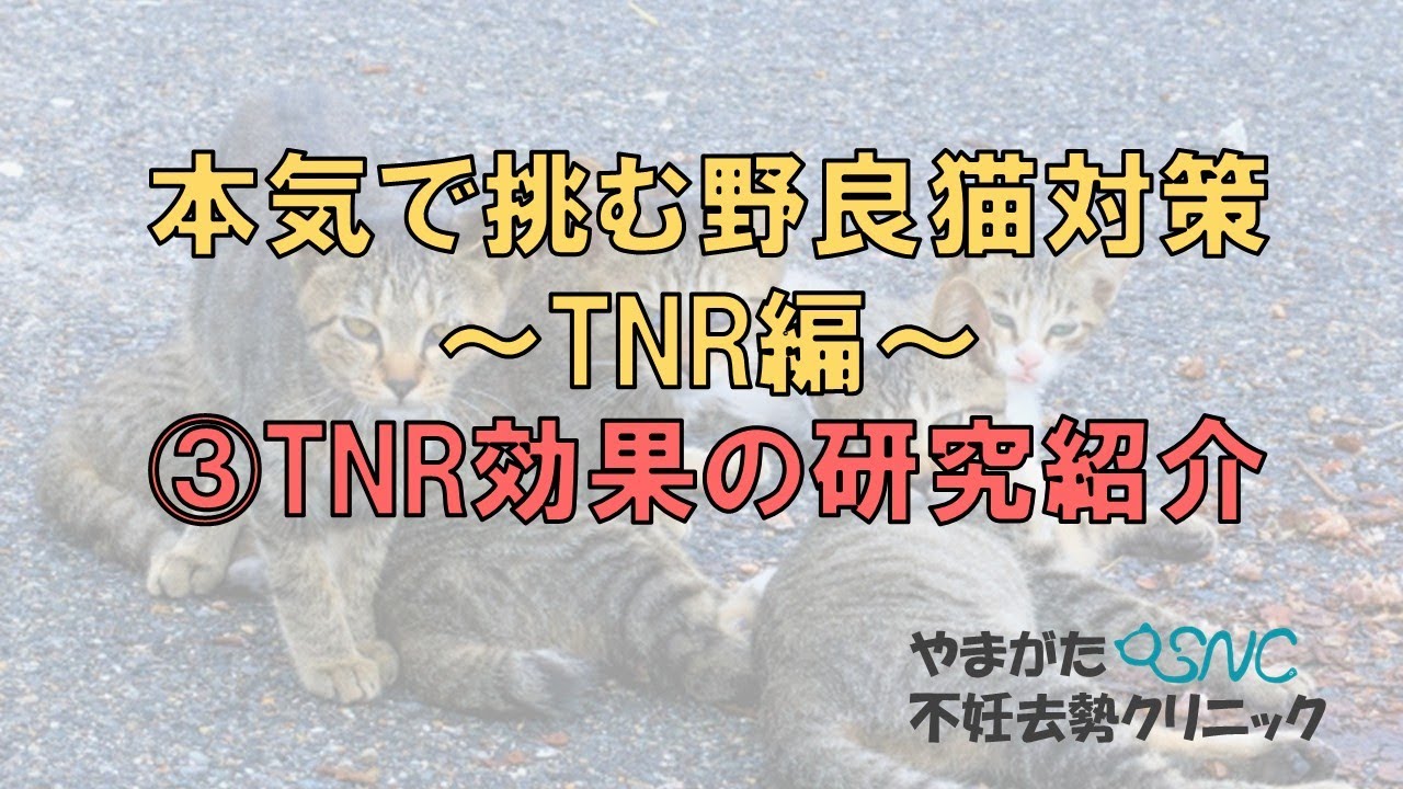 ③TNRの効果検証研究の紹介　本気で挑む野良猫対策～TNR編～