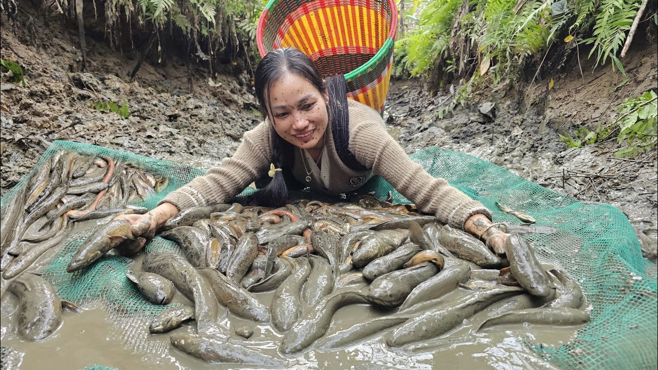 Catching fish and eels in abandoned stream pools to sell at the market