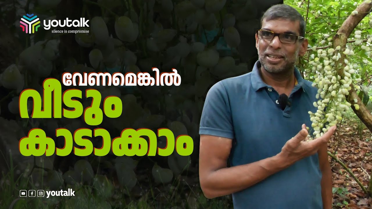 വീടിന് ചുറ്റും കാട് നട്ടു വളർത്തി നവീൻ | Man Made Forest In Kallara | Kallara Forest | Life Story