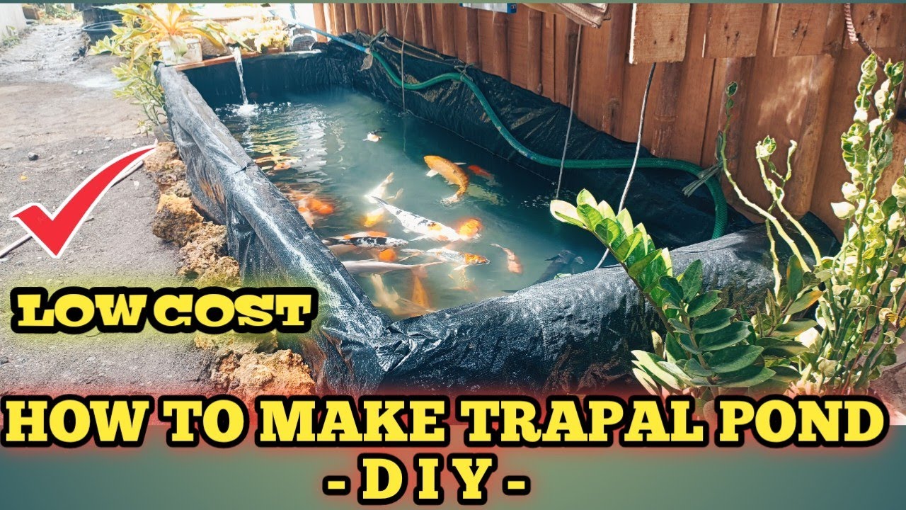HOW TO MAKE DIY TRAPAL POND IN 10 MINUTES | 15 inches japanese koi | migo ilonggo