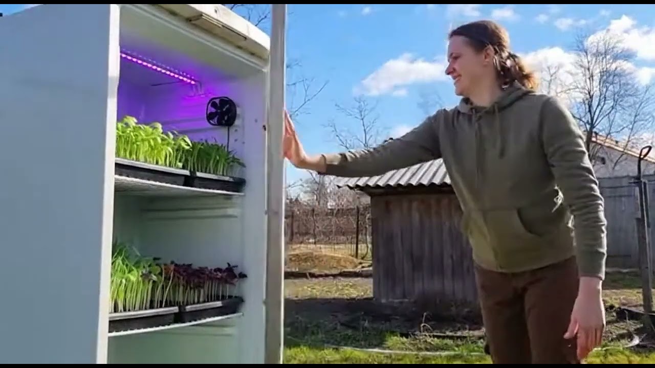 Теплица для рассады