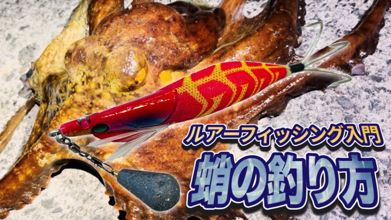 【タコ釣り】初心者にオススメ！最も簡単な堤防タコ釣り【オクトパッシング】
