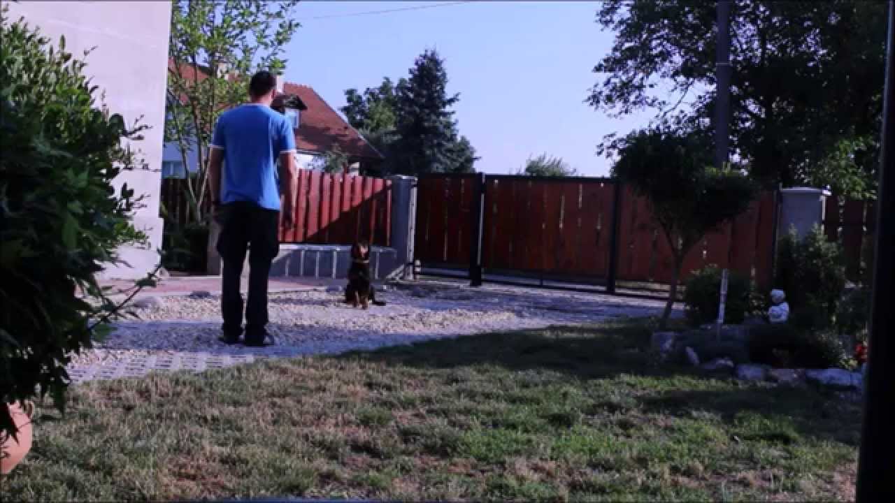 Slovenský kopov časť 2.