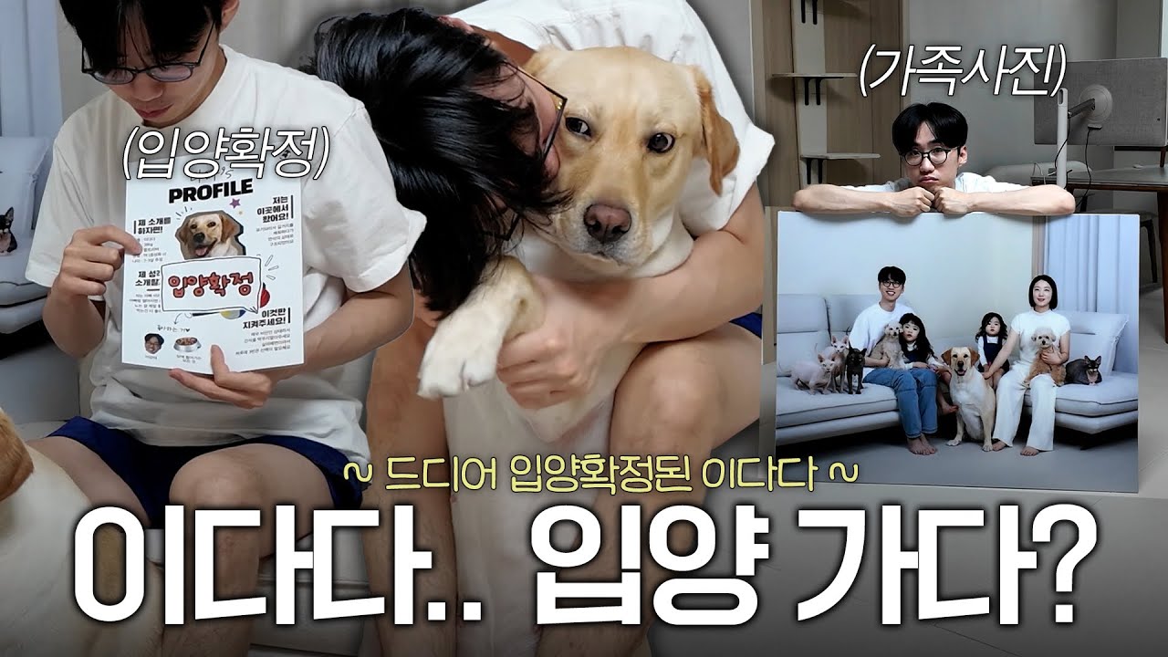 다다 입양 확정