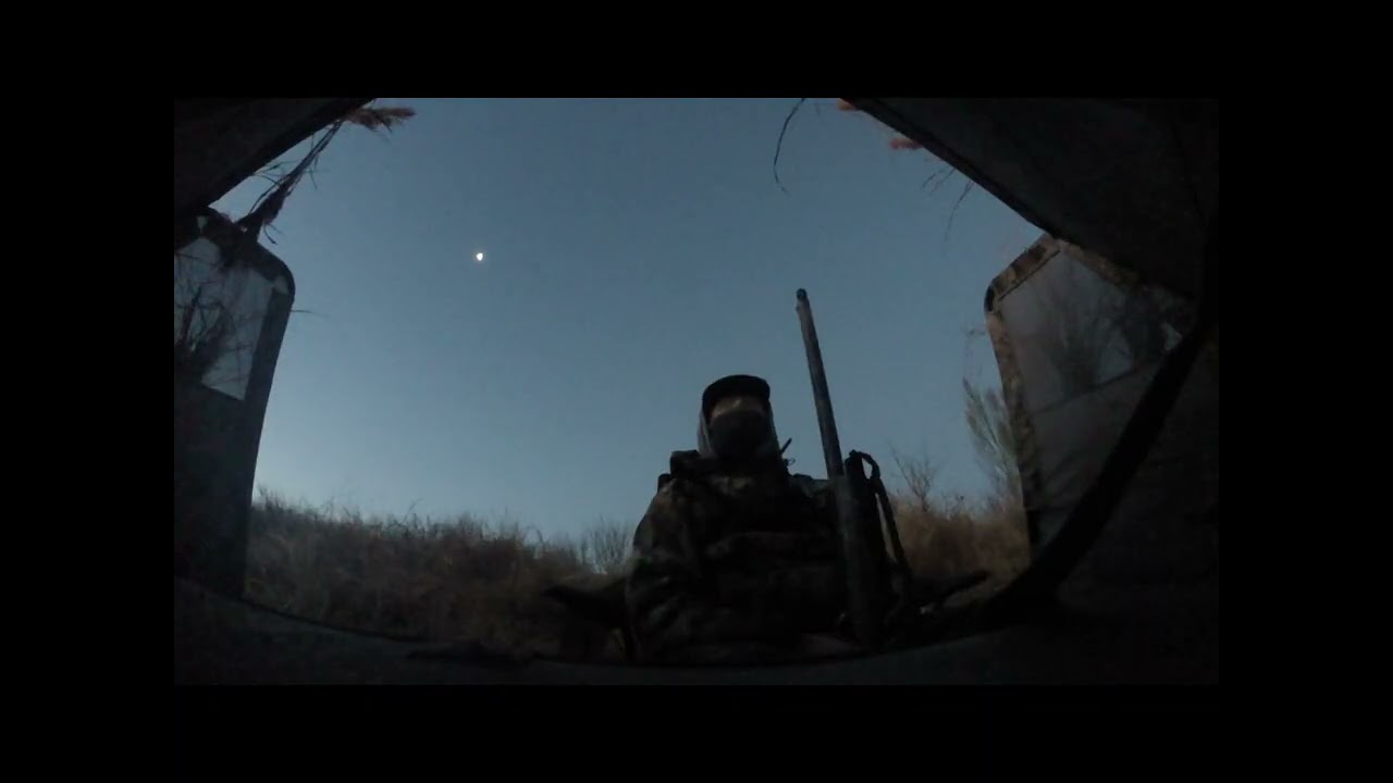 North Texas Duck Hunting
