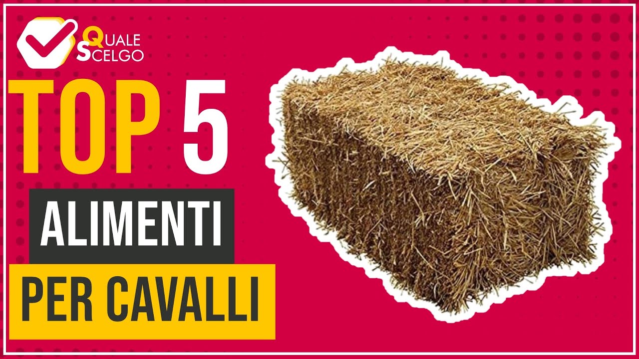 Alimenti per cavalli - Top 5 - (QualeScelgo)