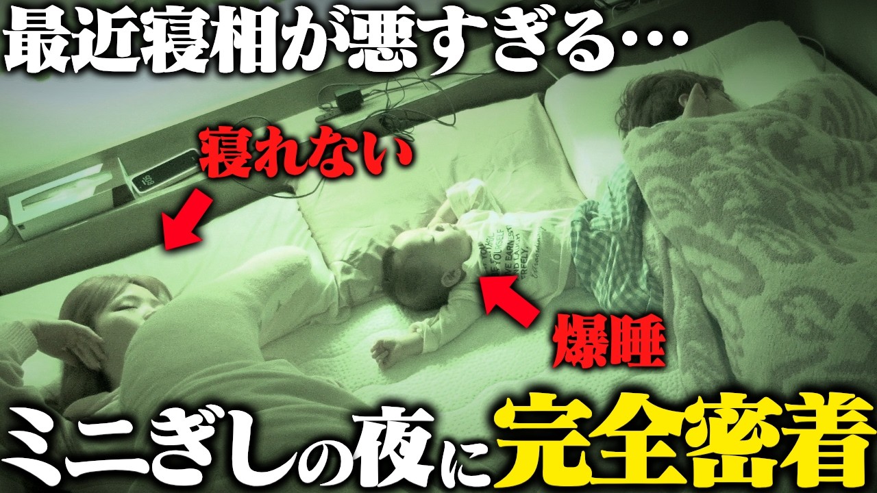 ミニぎしの寝相が悪すぎるので24時間密着したら転がりすぎて心配になったwww