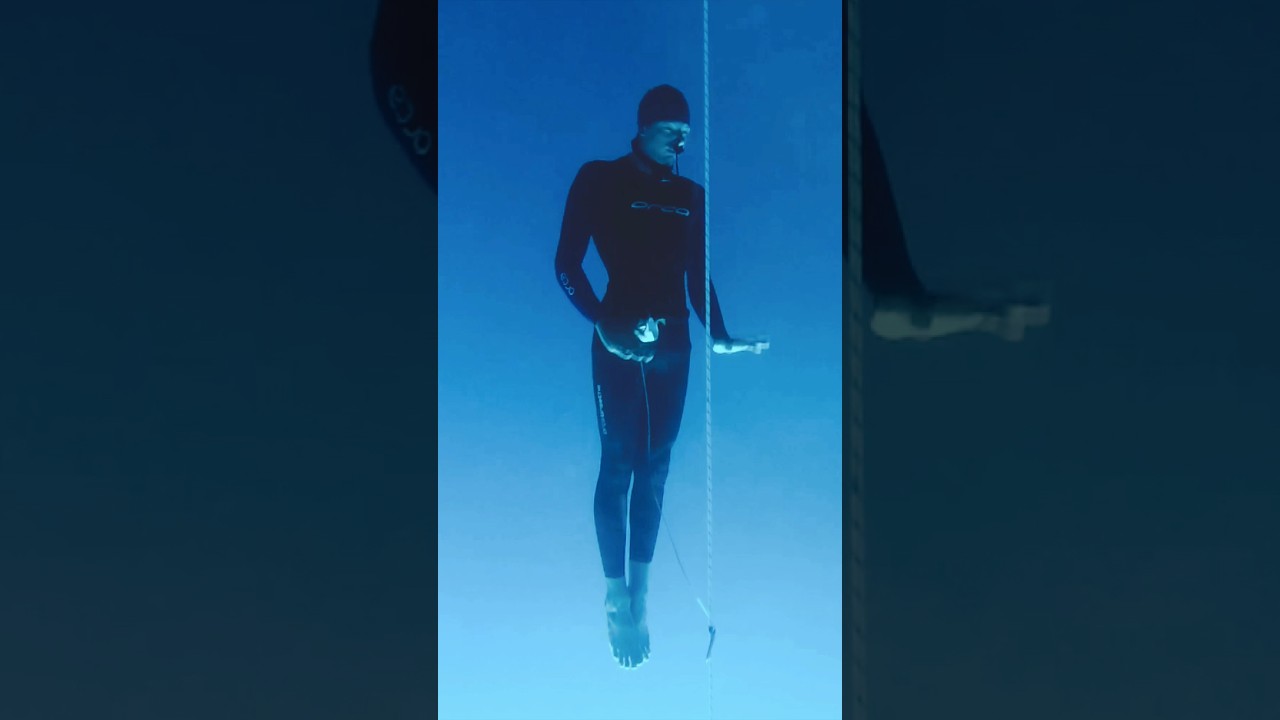 На грани поп-культуры. #alchemyfins #freediving #apnea