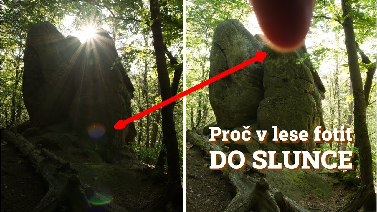 Jeden tip, který může zlepšit vaše fotografie | Buďte kreativní se slunečním světlem