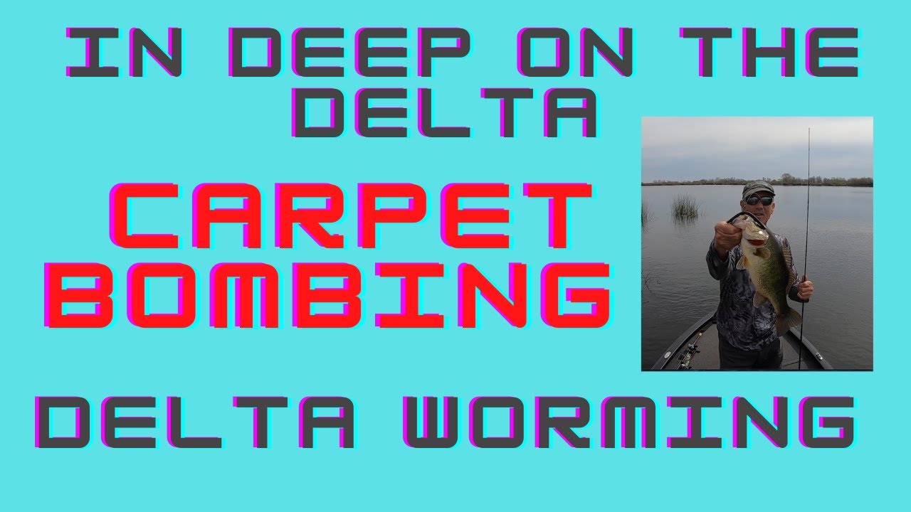 Try Carpet Bombing your worms for bigger Delta bass.