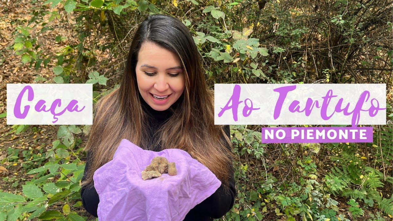 Caça ao Tartufo, O Alimento Mais Caro Do Mundo: Trufas Brancas 6500€/kl