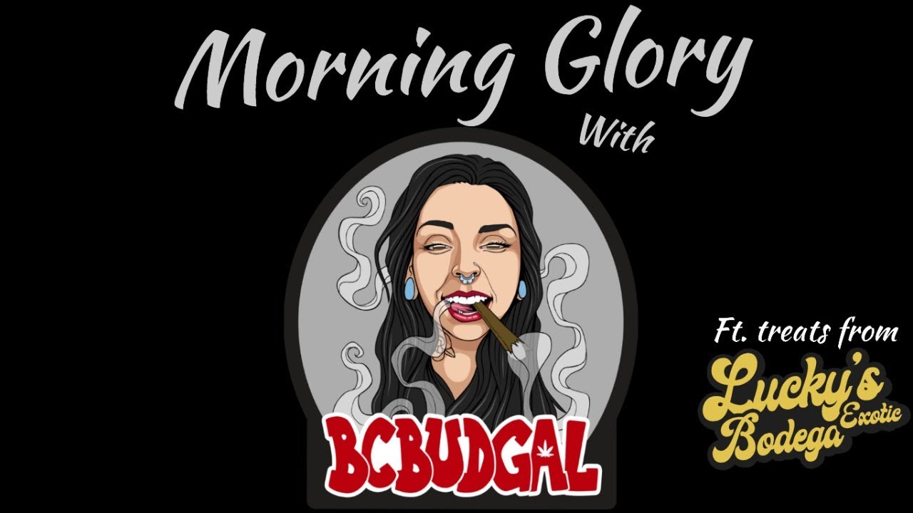 Morning Glory with BcBudGal: Getting Lucky