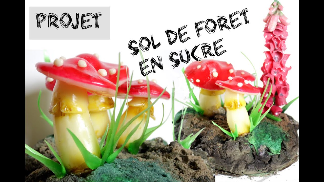 Sol de forêt en sucre. Partie1/2