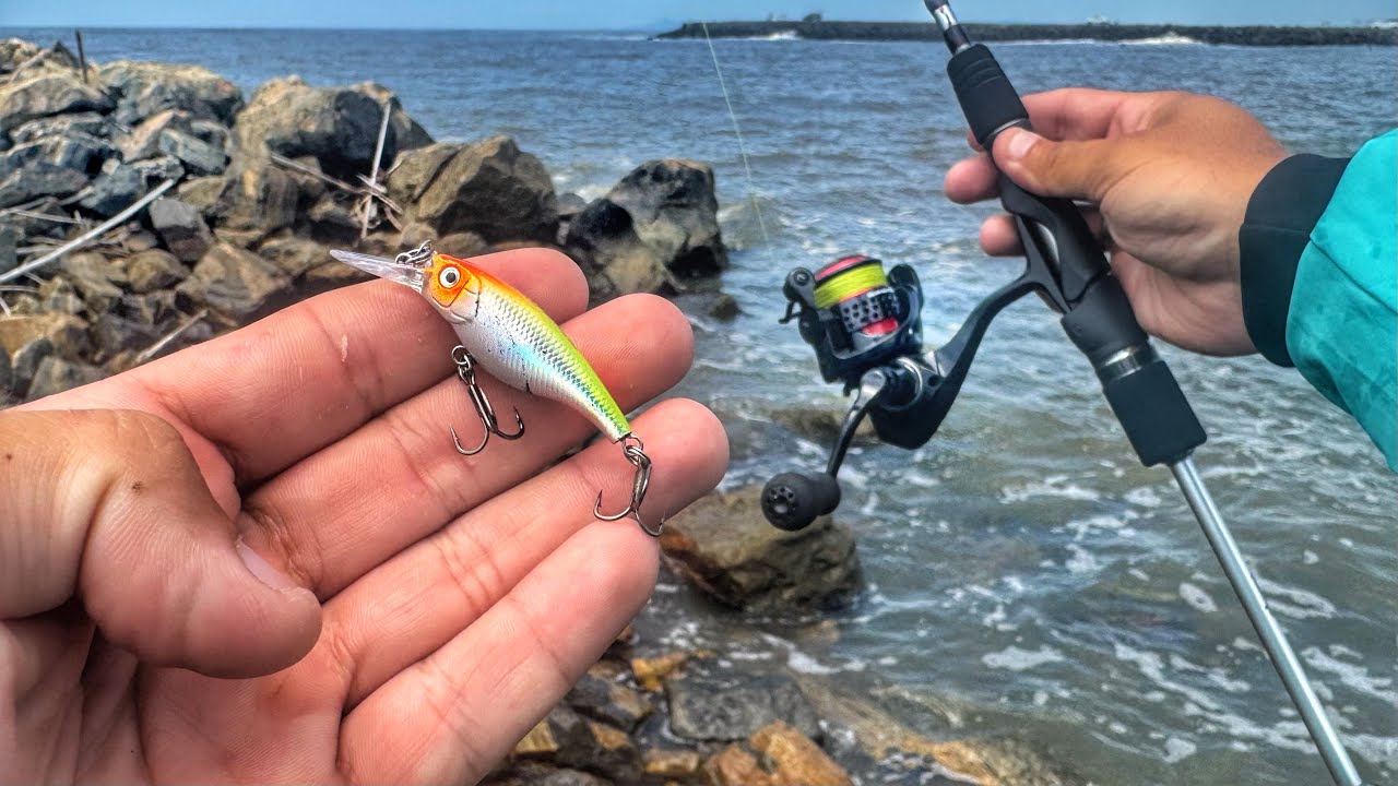 ROBALO GIGANTE com uma ISCA MINÚSCULA nas PEDRAS PERIGOSAS! Pesca Ultralight.