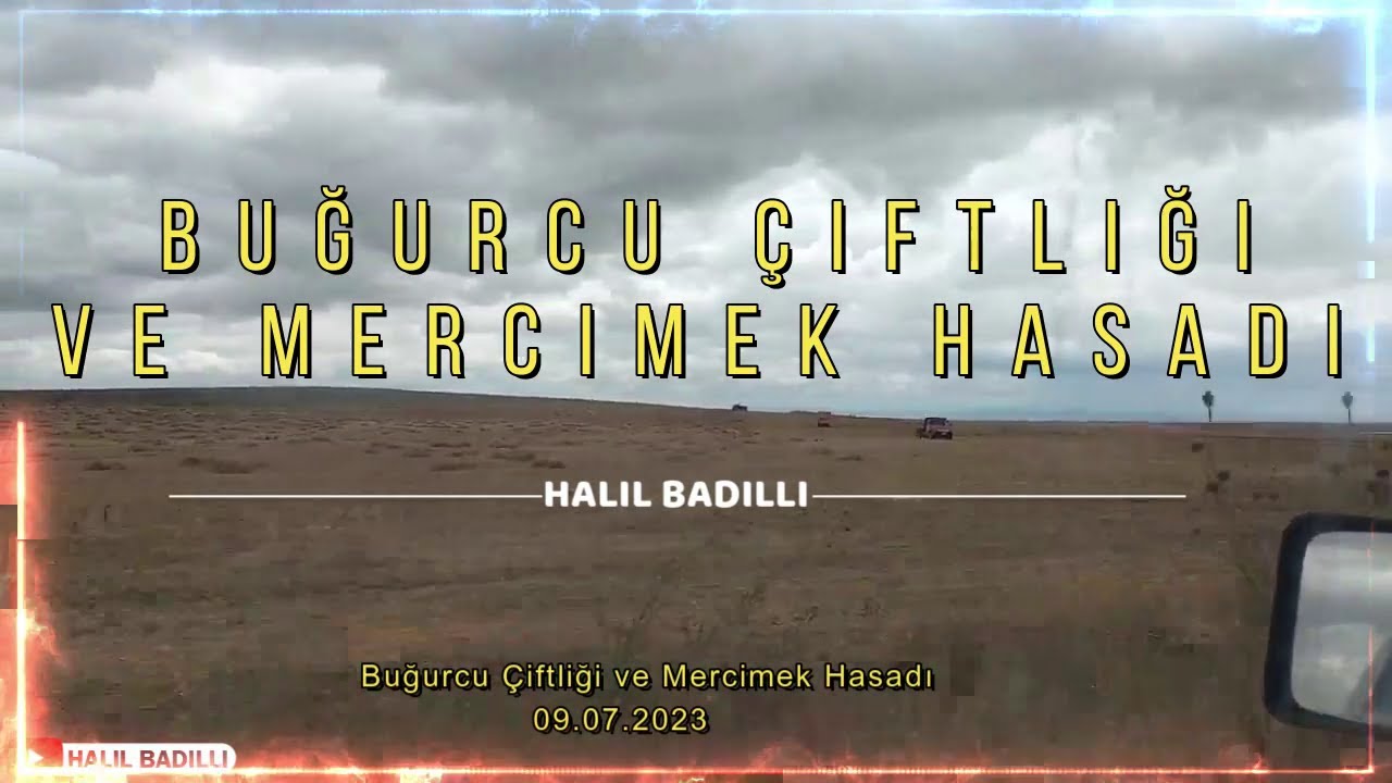 Buğurcu Çiftliği ve Mercimek Hasadı