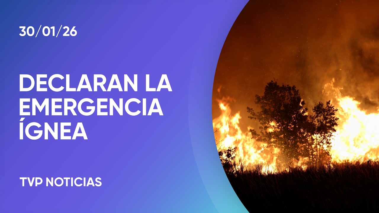 Incendios en la Patagonia: el Gobierno declaró la emergencia ígnea
