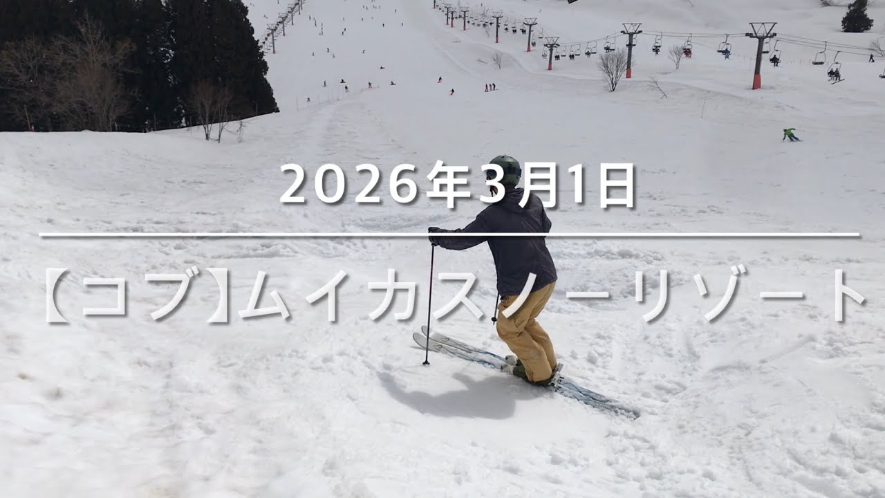 【コブ】 2026年3月1日 ムイカスノーリゾート