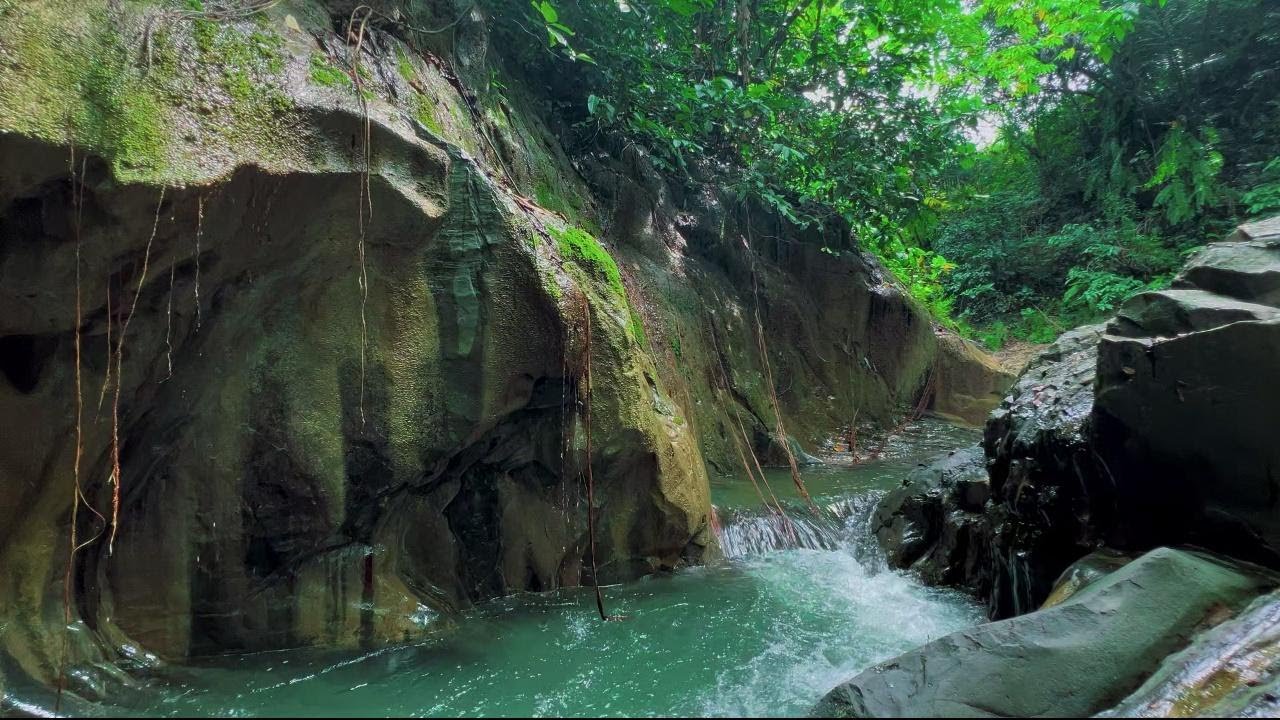 Forest Stream Flowing Sound 24/7. Relaxing River Sounds. Water White Noise for Sleep or Relax.