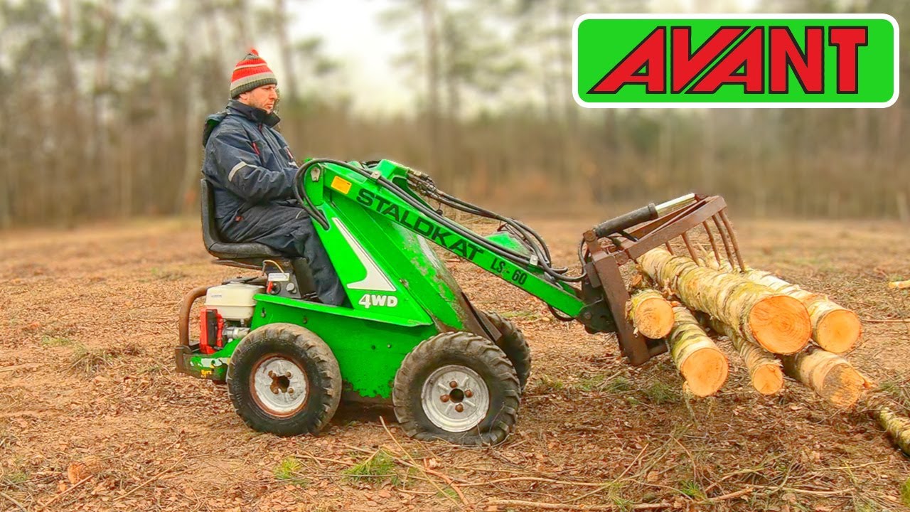 AVANT LS 60 STALDKAT mini ładowarka