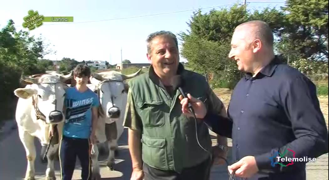 I preparativi per la Festa patronale di San Pardo   03   Larino   Viaggio in Molise   Puntata 2108