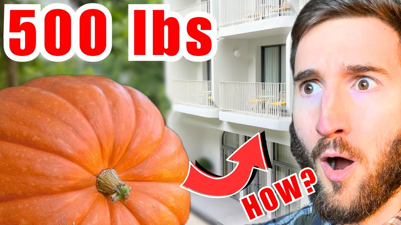 Growing a 500lb Pumpkin on Our Tiny Apartment Balcony. Here's Why | VLOG