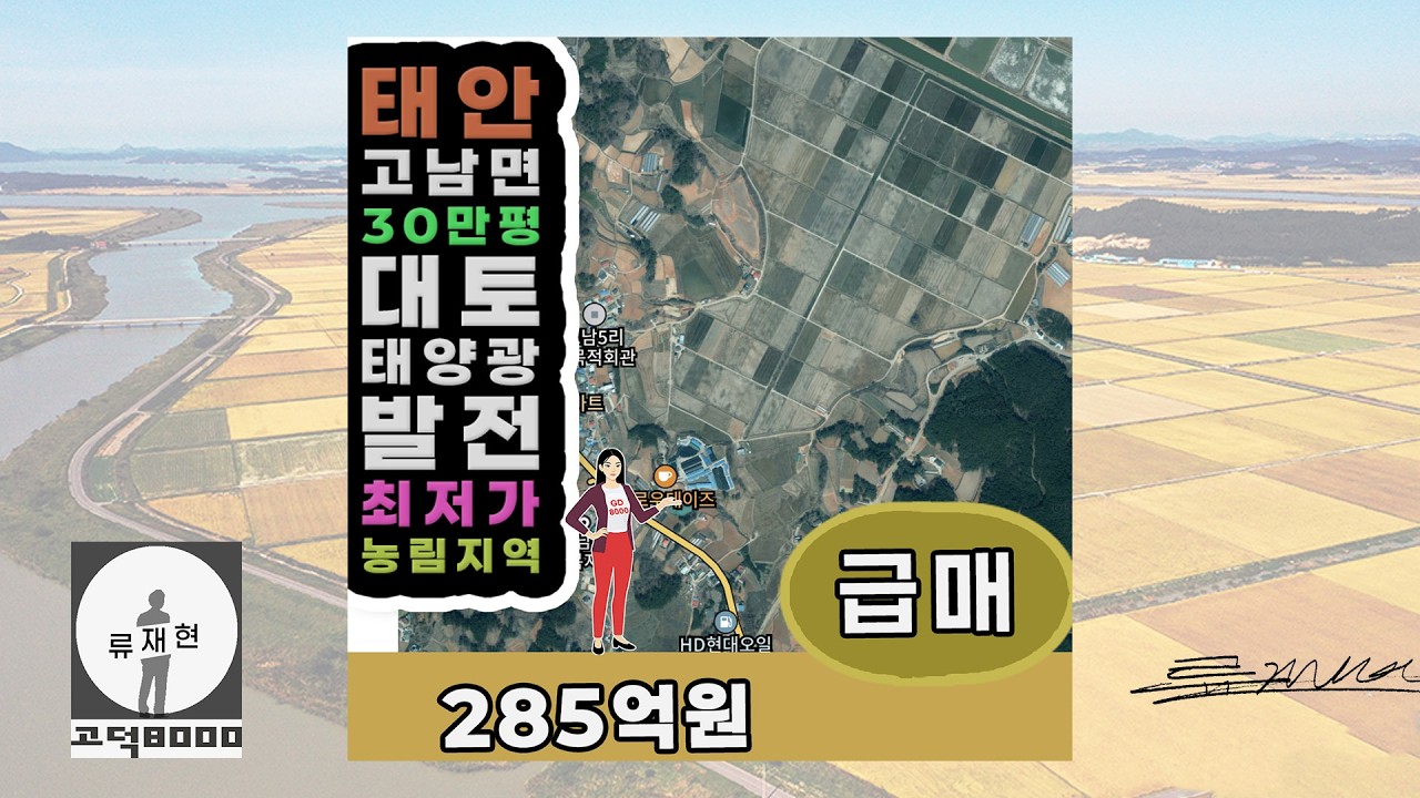태안 고남면 30만평 태양광발전 농지 급매 #태양광부지 #스마트팜부지 #대토부지