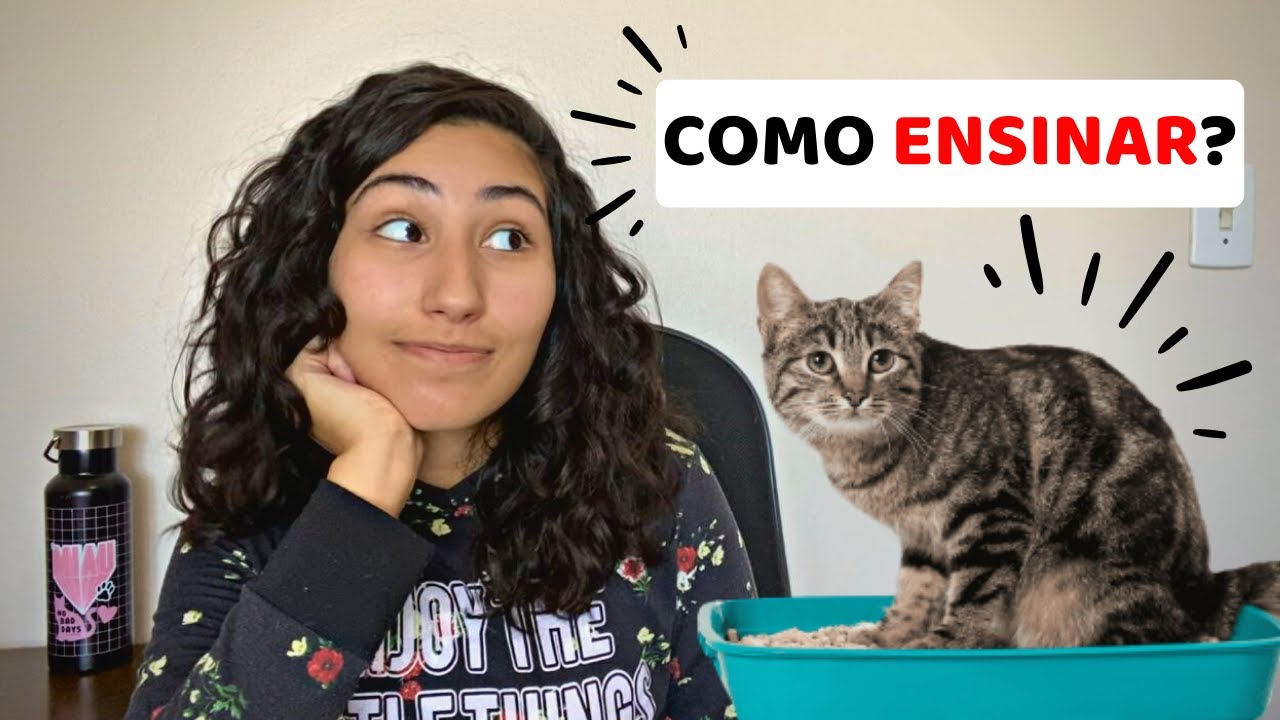 COMO ENSINAR O GATO A USAR CAIXA DE AREIA