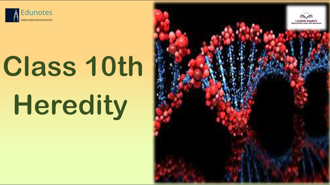 Class 10th Science Chapter 8 Heredity and Evolution # 