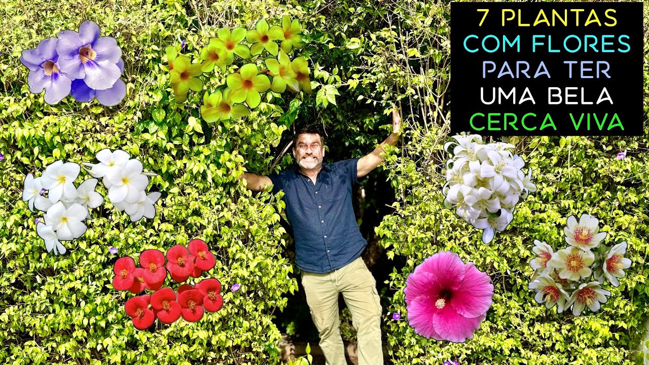 7 Plantas COM FLORES Para Ter Uma BELA CERCA VIVA